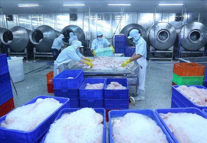 thi-cong-phong-sach-nha-may-thuy-san