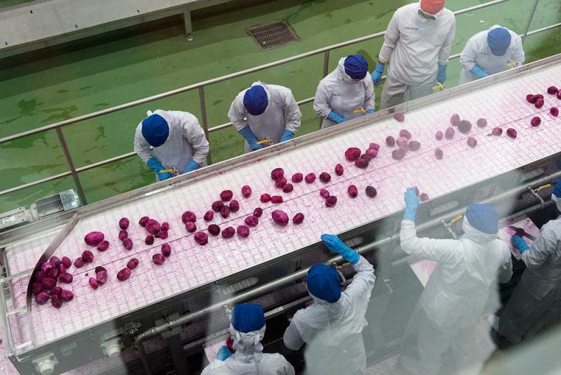 thi-cong-phong-sach-nha-may-che-bien-rau-cu-qua