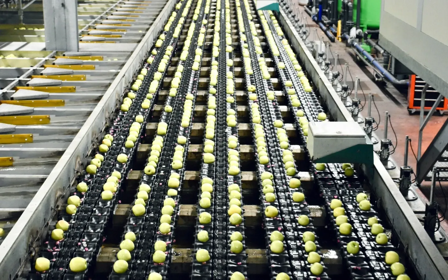 thi-cong-phong-sach-thuc-pham